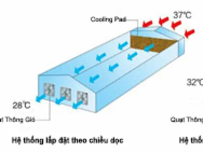 Hệ thống làm mát nhà xưởng (lắp đặt tại CTY TOPTONE)